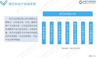 2019年現(xiàn)代農(nóng)業(yè)市場深度調(diào)研與未來發(fā)展前景研究報(bào)告